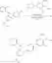 Fig. 14 - LXR MODULATORS