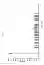 Fig. 02 - Crystalline erlotinib hydrochloride process