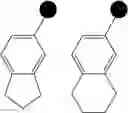 Fig. 45 - Tetrazolinone compound and applications thereof