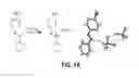 Fig. 02 - Phosphoric acid loaded covalent organic framework and a process for the preparation thereof