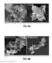 Fig. 12 - Phosphoric acid loaded covalent organic framework and a process for the preparation thereof