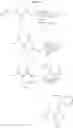 Fig. 55 - Amide-substituted heterocyclic compounds useful as modulators of IL-12, IL-23 and/or IFNα responses