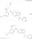 Fig. 451 - Amine derivative or salt thereof