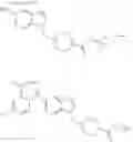 Fig. 511 - Amine derivative or salt thereof