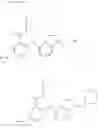 Fig. 673 - Amine derivative or salt thereof