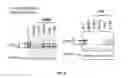 Fig. 05 - Small molecule CFTR correctors