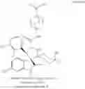Fig. 28 - MDM2 inhibitors and therapeutic methods using the same