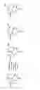 Fig. 02 - Artemisinin derivatives, methods for their preparation and their use as antimalarial agents