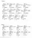 Fig. 06 - Prodrugs and methods of use thereof