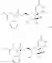Fig. 16 - 2′-alkynyl substituted nucleoside derivatives and methods of use thereof for the treatment of viral diseases