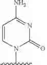 Fig. 24 - 2′-alkynyl substituted nucleoside derivatives and methods of use thereof for the treatment of viral diseases