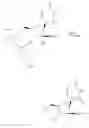 Fig. 60 - 2′-alkynyl substituted nucleoside derivatives and methods of use thereof for the treatment of viral diseases