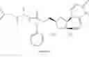 Fig. 77 - 2′-alkynyl substituted nucleoside derivatives and methods of use thereof for the treatment of viral diseases