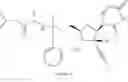 Fig. 82 - 2′-alkynyl substituted nucleoside derivatives and methods of use thereof for the treatment of viral diseases