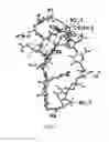 Fig. 04 - C4S proteoglycan specific transporter molecules