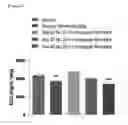 Fig. 03 - A COMPOSITION FOR TREATING DIABETES OR DIABESITY COMPRISING OXYNTOMODULIN ANALOG