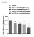 Fig. 05 - A COMPOSITION FOR TREATING DIABETES OR DIABESITY COMPRISING OXYNTOMODULIN ANALOG