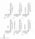Fig. 07 - NOVEL PEPTIDE AND APPLICATION THEREOF