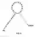 Fig. 07 - Natriuretic polypeptides