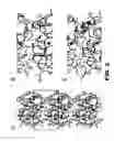 Fig. 05 - GLUTAMIC ACID-STABILIZED INSULIN ANALOGUES