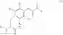 Fig. 24 - Modified Insulin Polypeptides and Their Uses