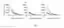 Fig. 08 - IMMUNOGENIC VACCINE
