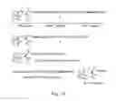 Fig. 17 - IMMUNOGENIC VACCINE