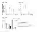 Fig. 20 - IMMUNOGENIC VACCINE