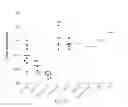 Fig. 24 - IMMUNOGENIC VACCINE