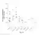 Fig. 26 - IMMUNOGENIC VACCINE