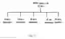 Fig. 28 - IMMUNOGENIC VACCINE