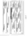 Fig. 33 - IMMUNOGENIC VACCINE