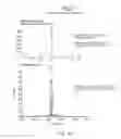 Fig. 45 - IMMUNOGENIC VACCINE