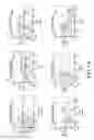 Fig. 02 - NON-B-LINEAGE CELLS CAPABLE OF PRODUCING ANTIBODY