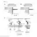Fig. 06 - Agents that modulate immune cell activation and methods of use thereof