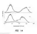 Fig. 02 - Antibodies to VLA-1