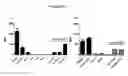 Fig. 22 - ASGPR antibodies and uses thereof