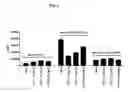 Fig. 02 - Nucleic acid molecules encoding anti-CD27 antibodies