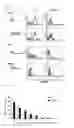 Fig. 06 - Medicament comprising activity modulator for CD300a-expressing cell associated with allergic disease, CD300a gene-deficient mouse, and use of activity modulator for CD300a-expressing cell