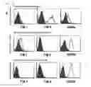 Fig. 09 - Medicament comprising activity modulator for CD300a-expressing cell associated with allergic disease, CD300a gene-deficient mouse, and use of activity modulator for CD300a-expressing cell