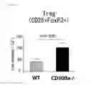 Fig. 44 - Medicament comprising activity modulator for CD300a-expressing cell associated with allergic disease, CD300a gene-deficient mouse, and use of activity modulator for CD300a-expressing cell