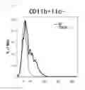 Fig. 49 - Medicament comprising activity modulator for CD300a-expressing cell associated with allergic disease, CD300a gene-deficient mouse, and use of activity modulator for CD300a-expressing cell