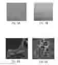 Fig. 07 - COMPOSITIONS AND METHODS FOR TREATMENT OF DRUG RESISTANT MULTIPLE MYELOMA