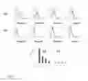 Fig. 04 - Stem cell enhancing therapeutics