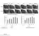 Fig. 09 - Stem cell enhancing therapeutics