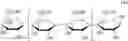 Fig. 04 - BETA-1,3-GLUCAN DERIVATIVE AND METHOD FOR PRODUCING BETA-1,3-GLUCAN DERIVATIVE