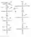 Fig. 01 - Macromonomers for preparation of degradable polymers and model networks