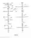 Fig. 04 - Macromonomers for preparation of degradable polymers and model networks
