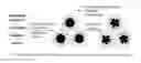 Fig. 01 - Molecularly imprinted polymer nanoparticles compatible with biological samples and preparation method thereof