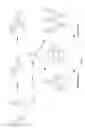 Fig. 07 - SOLUBLE POLYMERS